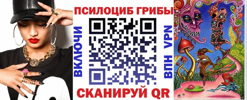 Галлюциногенные грибы Psilocybe Урус-Мартан