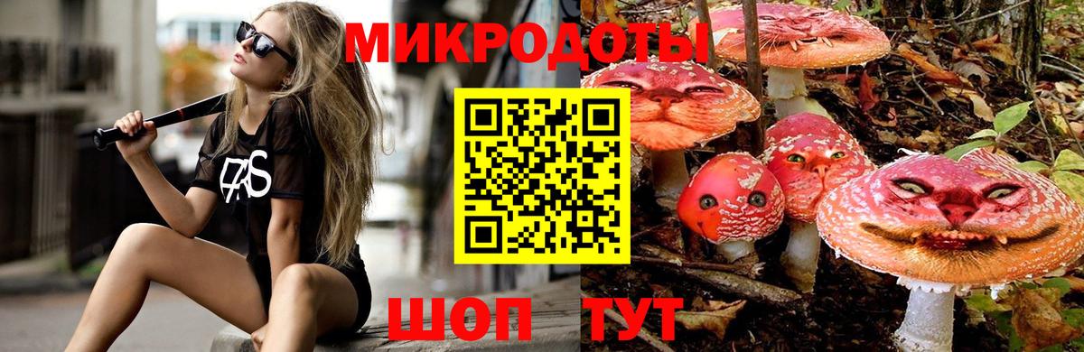 Галлюциногенные грибы MAGIC MUSHROOMS  Вход с VPN  Урус-Мартан 